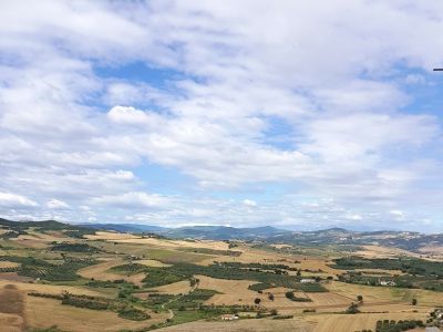 panorama