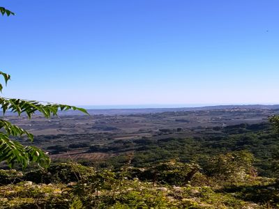 panorama