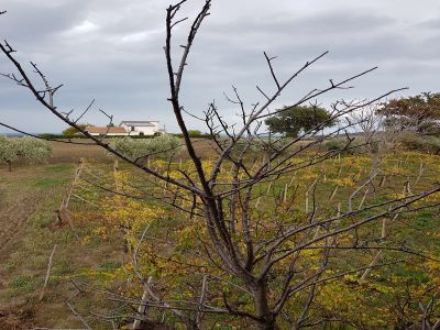 terreno circostante