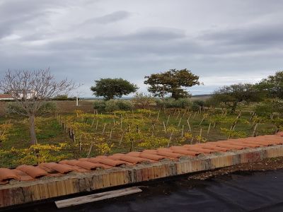 veduta
