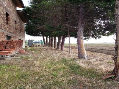 facciata laterale