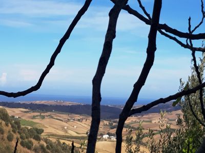 PANORAMA